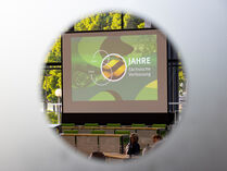 Blick auf eine Leinwand mit einem Standbild 