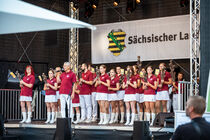 Ein Schallmeienorchester auf der Bühne des Sächsischen Landtags